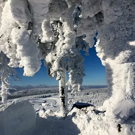 Lägenhet Thale