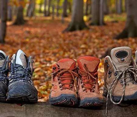 Appartement Thale Braunlage