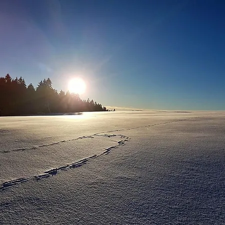 Thale Lägenhet