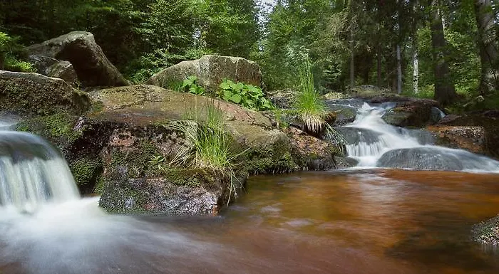 Apartamento Thale Braunlage