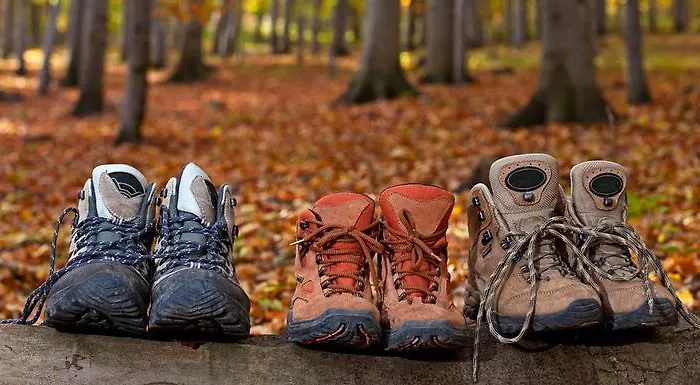 Daire Thale Braunlage